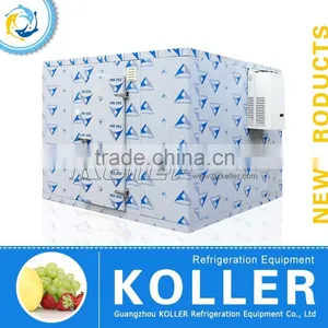 Koller Small Cold Storage Room With Refrigerators for Fruits & Vegetables VCR20 thumbnail-1