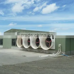 Export to Philippines Turnkey Steel Broiler Chicken House thumbnail-1