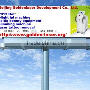 2013 Hot Sale Www.golden-laser.org Electroporation Beauty Device thumbnail-1