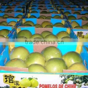 Supplier Pomelo 2012 thumbnail-1