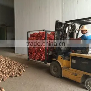Fresh Onion Packing in Mesh Bag for Onion Importer From Dubai thumbnail-5