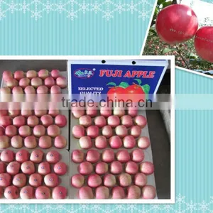 Chinese Yantai Fuji Apple thumbnail-1