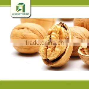 Light Pieces Walnut Kernels Vacuum Package for Export thumbnail-1