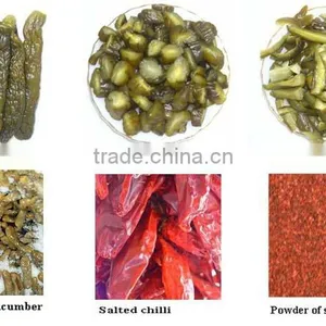 Salted Vegetables thumbnail-1