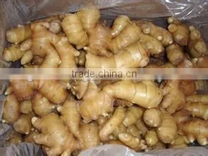 Bulk Selling Ginger Price in China thumbnail-1