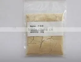 Natural Mango Extract Beverage Powder Factory Spray Dried Mango Powder thumbnail-2