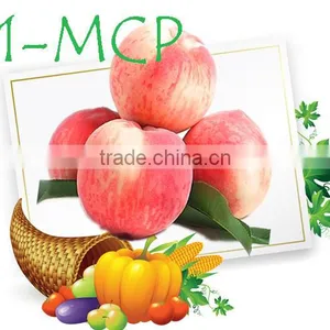 1-Methylcyclopropene Slow Down the Ripening Speed of Fruits thumbnail-4