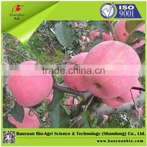 Organic And Inorganic Fertilizer Containing SOD Enzymatic Factor thumbnail-2