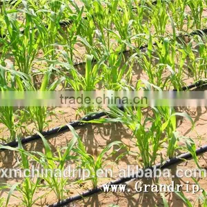 Drip Tape Irrigation Line 16mil Trickle Soaker Garden Hose Trickle Tape thumbnail-3