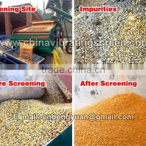 Corn Cleaning Machine, Corn Screening Machine, Corn Cleaning and Screening Machine With Factory Direct Sell thumbnail-5