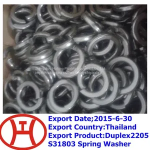 Duplex2205 S31803 Spring Washer thumbnail-1