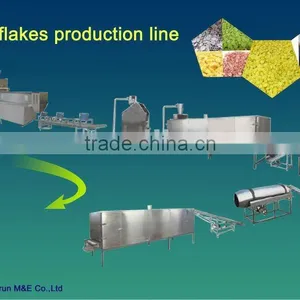 Twin-extruder Screw Corn Flakes Food Machinery thumbnail-1