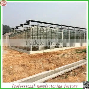 Hot Sale 10.8m Multi-span Venlo Glass Greenhouse Grow Tent for Agriculture thumbnail-1