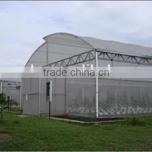 Arch Greenhouse Film thumbnail-1