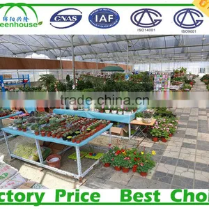Horticultural Glass Greenhouses thumbnail-5