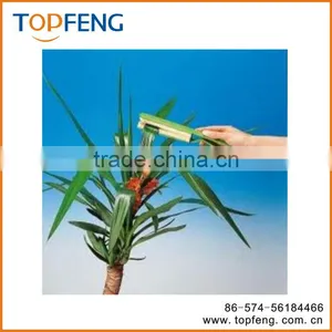 Plastic Plant Brosse Cleaning the Leaf thumbnail-1