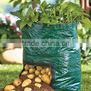 Garden Green House Felt Grow Bags thumbnail-3