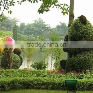 Customized Artificial Topiary Grass Animal Landscaping thumbnail-4
