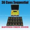 36 Channels Sequence and Salvo Fire 300M Wireless Remote Control Fireworks Firing System (DBR01-X2/36) thumbnail-1