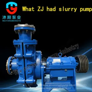 250 What zj Had - I - A103 Pulp Tailings Ash Slag Impurity Pump thumbnail-1