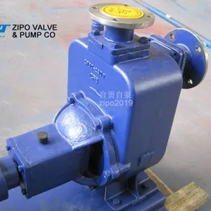 ZIPO no Blockage Horizontal Self-priming Pump Cast Iron Electric Sewage Pump ZZX or ZZW Type thumbnail-1