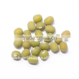 Chinese Green Mung Bean Super Organic thumbnail-1