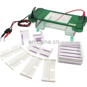 SPCT Universal Lab And Medical Horizontal Electrophoresis Machine thumbnail-2
