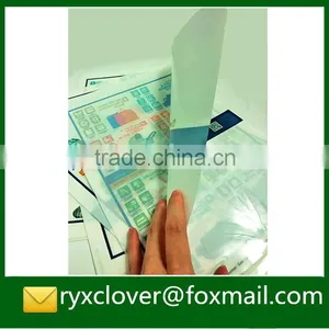 High Quality PP Stationery Foctory Supplier Eco-friendly a4 Plastic L Shape a4 File Folder thumbnail-4