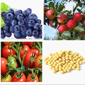 Auxin-based Plant Growth Regulators NA NAA98%TC Sodium NAA thumbnail-3