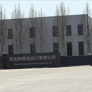 Hebei Shubing Import & Export Co., Ltd. company overview - view 1 thumbnail