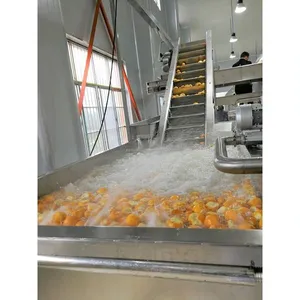 Apricot Peach and Plum Jam Processing Line thumbnail-6