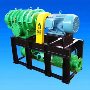 Sewage Treatment Aeration Roots Blower, Made of Cast Steel, With Pure Copper Motor, for Dust Removal and Conveying Pressurization thumbnail-5