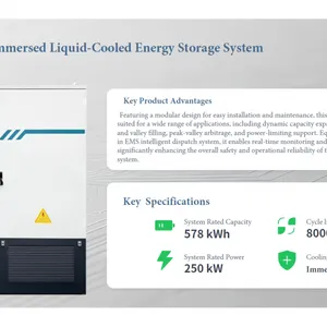578KWh BESS With Full Immersion Liquid Cooling & EMS. For Solar, Commercial, Industrial Storage. Cut Costs, Ensure Stable Power. thumbnail-1
