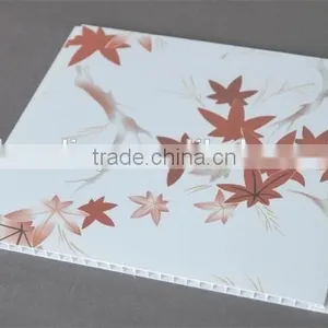 Artistic Ceilings Feature and PVC Ceilings Ceiling Tile Type BUILDING MATERIALS thumbnail-3