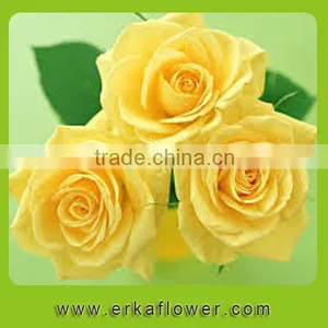 Natural Promotional Preserved Rose Flower for Home Decoration thumbnail-2