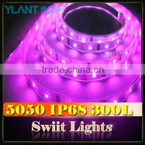 ShenZhen Factory Direct Sale Waterproof 5050 LED Strip Car CE & RoHs Approved thumbnail-1