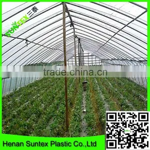 5 Years Use Time Greenhouse Film,uv Treated Plastic Film Greenhouse,agriculture Polyethylene Film thumbnail-6