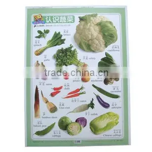 CALENDAR 2013 RIGID PVC SHEET, TRANSPARENT &COLORFUL PVC SHEET thumbnail-2