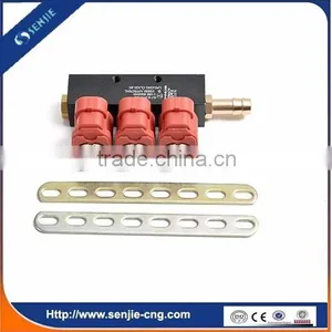 CNG LPG Injection Rail in Injector thumbnail-3