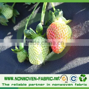 TNT Spunbond Nonwoven Fabric for Agricultural Freeze Protection,weed Control thumbnail-3