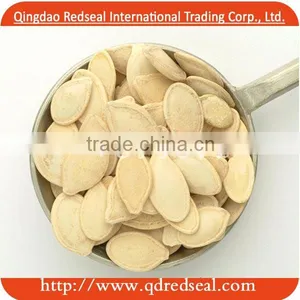 Shine Skin Pumpkin Seed thumbnail-1