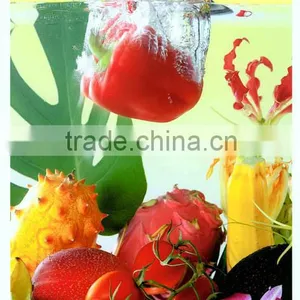 M7-X5 1.6m Wallpaper Direct Printing Inkjet Printer With Eco Solvent Ink thumbnail-5
