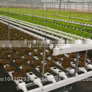 Seedling Planting Machine and Plant Nursery for Hydroponic Systems thumbnail-5