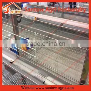 Stable Steel Structure Chicken Egg Layer Cage Egg Laying Cage Design thumbnail-6
