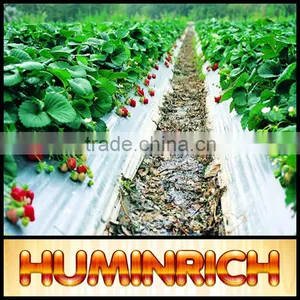 FAQ 8--How To Prevent And Treat Diseases Of Strawberry? thumbnail-4