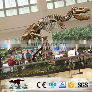 OA-SD-L36 Exhibition Equipment Dinosaur Fossil Skeleton Replica thumbnail-1