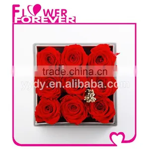 Wholesale Customized Preserved Flower thumbnail-3