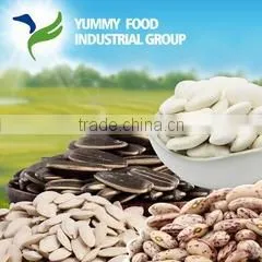 Yummy Food Industrial Group company overview - view 1 thumbnail