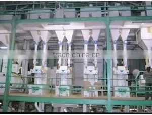 Sugandha Basmati Rice for Gulf Countries thumbnail-3