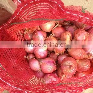 Fresh Onion Export to Dubai thumbnail-4